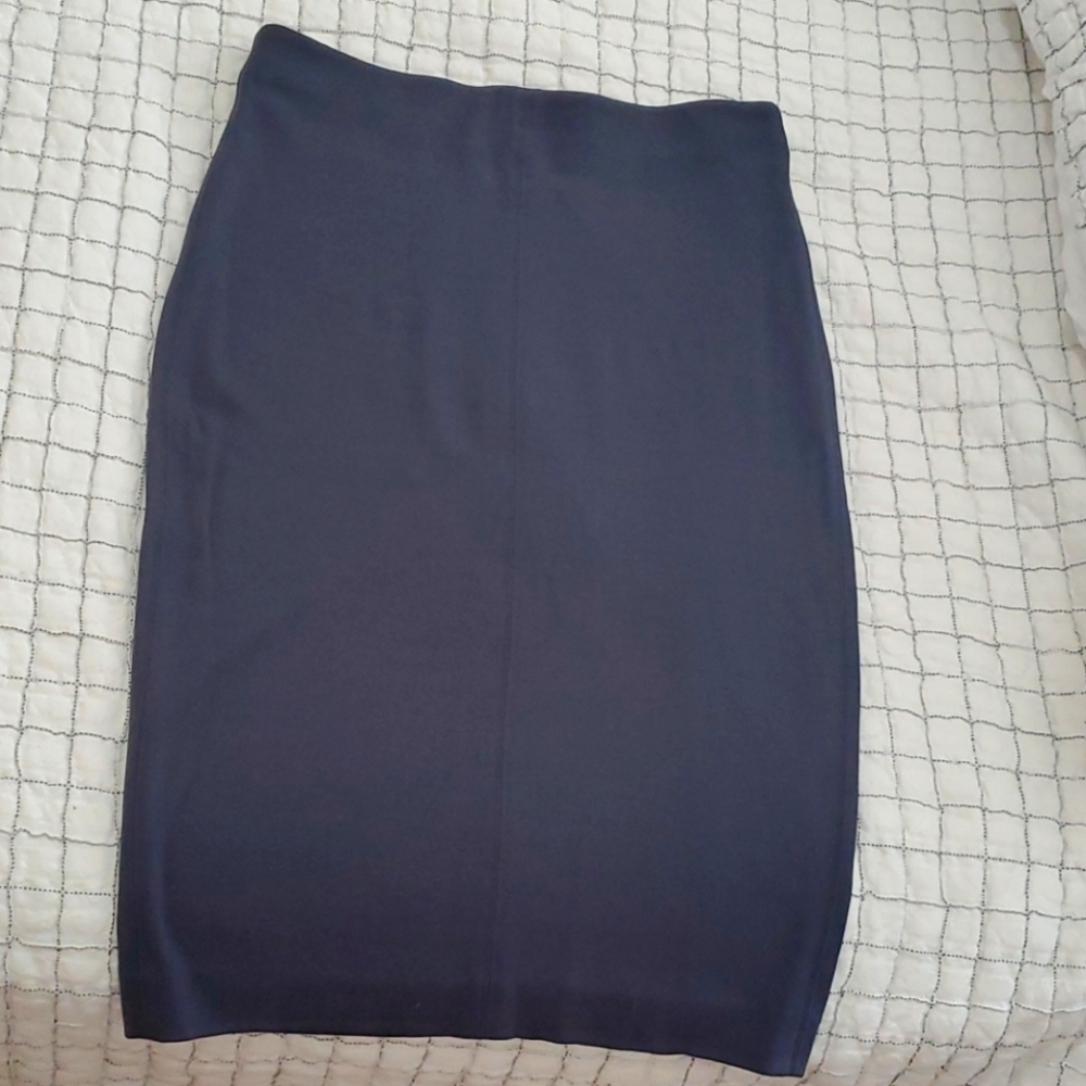 Wilfred Long Fitted Pencil Skirt (Aritzia)